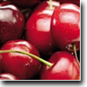 Banner Image 2