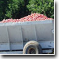 Banner Image 1